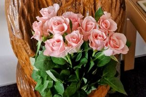 obvestila/20260324-EDIT